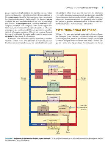 Fisiologia Médica: Uma Abordagem Integrada, de Raff, Hershel. Editorial Amgh Editora Ltda., capa mole em português, 2012