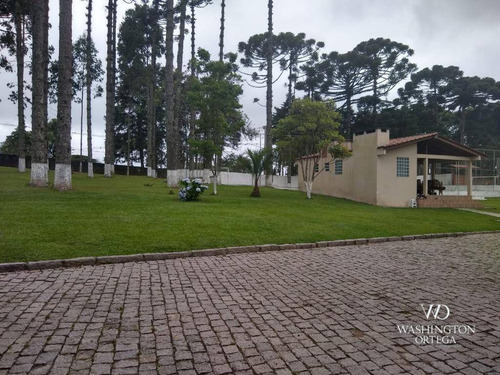 Imagem 12 de 29 de Chácara À Venda, 96800 M² Por R$ 2.300.000,00 - Contenda - São José Dos Pinhais/pr - Ch0053