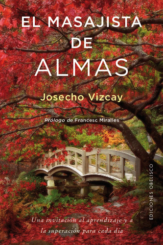 Masajista De Almas,el - Vizcay,josecho