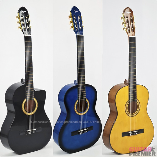 Imagen 7 de 10 de Guitarra Criolla Electroacustica Media Caja Funda Pua Envios