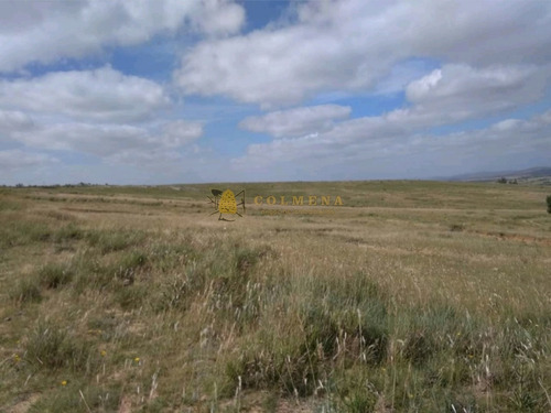 Campo De 35 Has A 38 Km De Punta Del Este - Consulte!!!!!!- Ref: 3388
