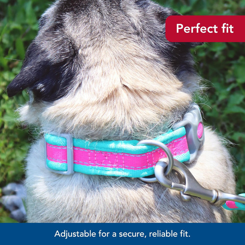 Coastal Pet - Pro - Collar Reflectante Ajustable Para Perros