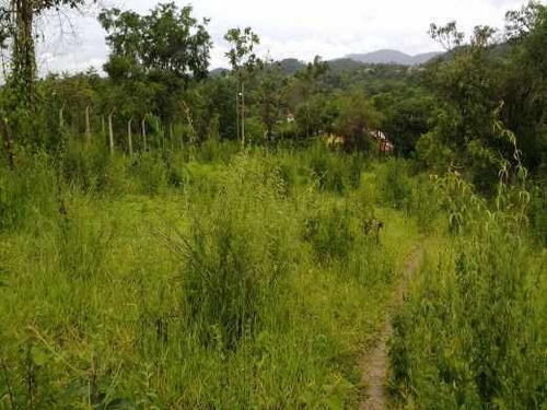 Imagem 12 de 15 de Chácara À Venda, Bonanza - Santa Luzia/mg - 110