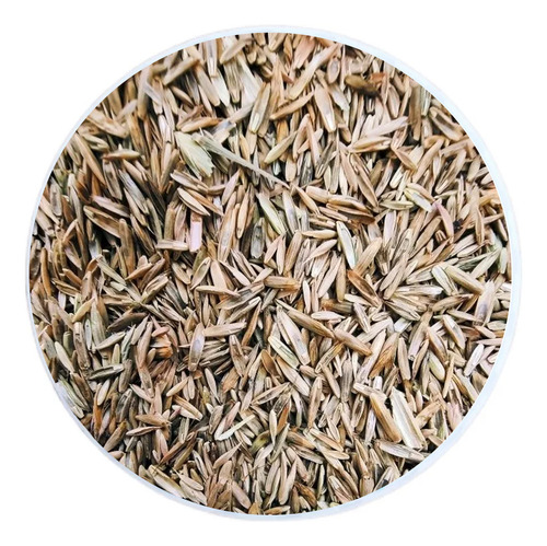 Semilla De Pasto Pradera: Mezcla De Pastos Forrajeros (5 Kg)
