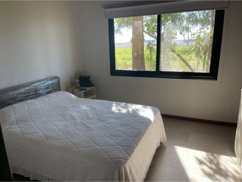 Imagen 7 de 17 de Casa Amueblada Para Empresas