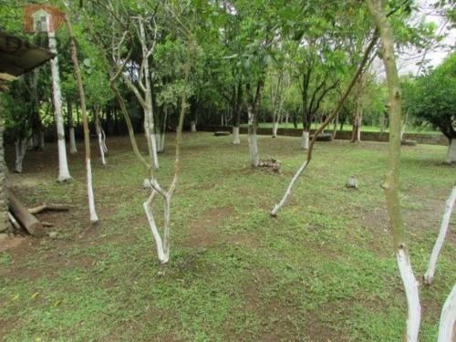 Imagem 6 de 13 de Sitio - Demboski - Ref: 18976 - V-18976