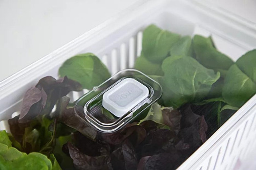 Kit 4 Organizadora Geladeira Frutas Verduras Com 5l E 2,2l