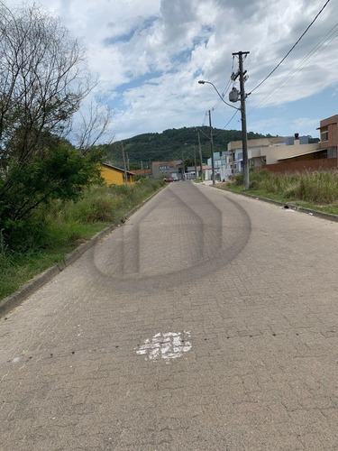 Imagem 2 de 4 de Terreno - Te00320 - 70452508