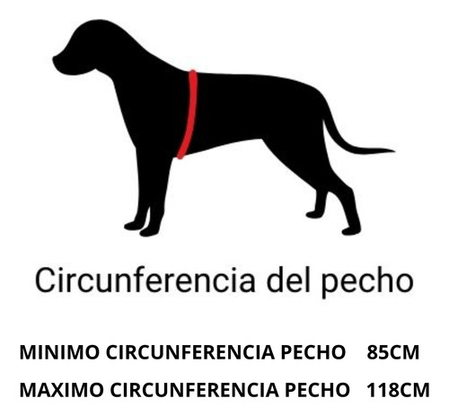 Pretal Arnes Perros Pechera Anti Tirones Mas Correa Gratis Talle Xxl --- Color Xxl