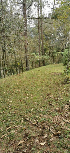 Imagen 20 de 22 de Terreno - Cuauhtémoc