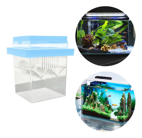 Caja De Reproducción De Peces Flotantes Caja De Azul