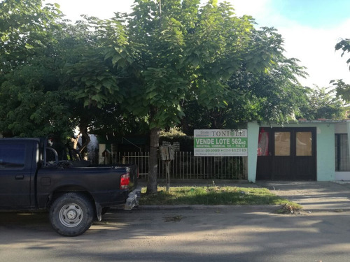Imagen 6 de 7 de De La Corvina