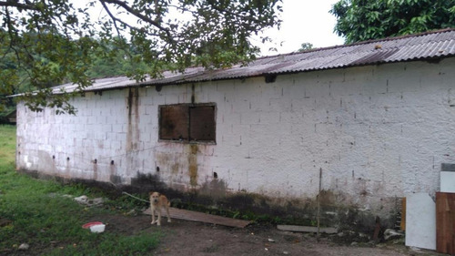 Imagem 19 de 30 de Sítio À Venda, Peruíbe. - Si0217