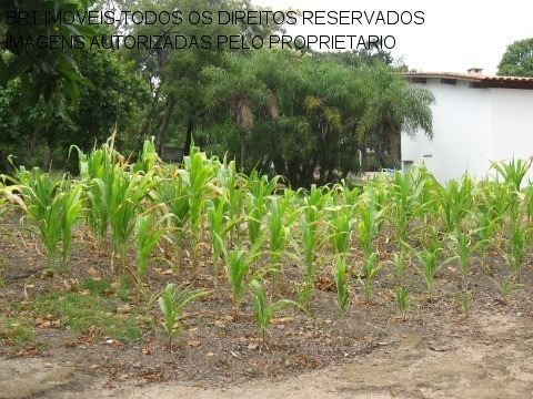 Imagem 24 de 28 de Chacara - Ch00286 - 33972643