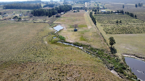 Venta De Chacra En Paraje Soca, Canelones Ie2 - 1691 (ref: Iea-1691)