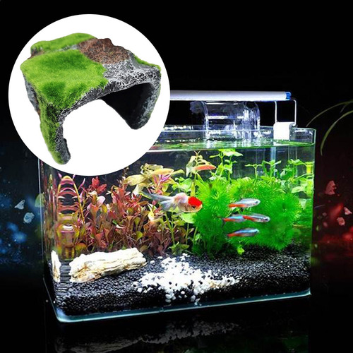 Accesorios Para Hábitat De Tortugas De Caja B