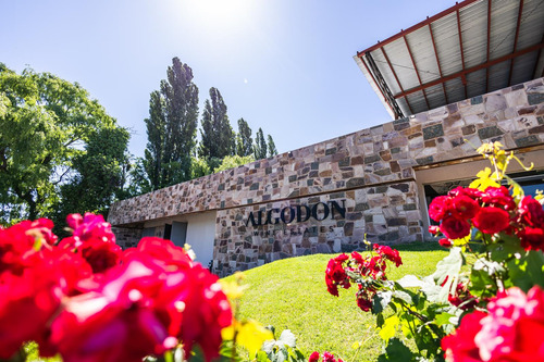 Lot E27 Algodón Wine Estates