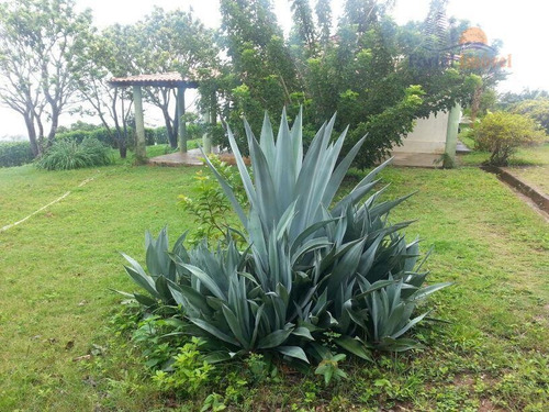Sítio 5,2 Ha Na Serra De Guaramiranga Com 52.000m² - Ch0003