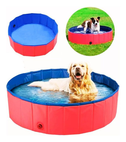 Banheira Piscina Pet Cachorro Grande Dobrável Resistente