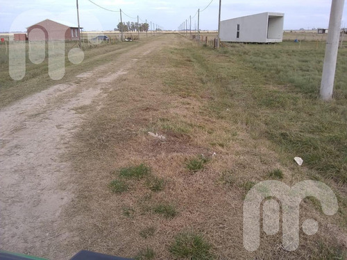Imagen 10 de 11 de Venta Terreno -arana