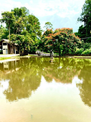 Imagem 3 de 6 de Terreno Urbano Em Condomínio Fechado Para Venda Com 350 M² | Barreiro | São Paulo Sp - Tec53499v