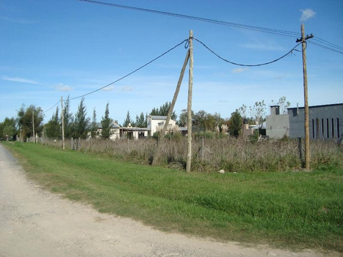 Imagen 6 de 8 de Lote En Venta En El Rodeo