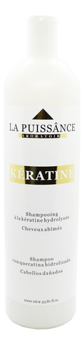 La Puissance Keratina Anti Frizz Shampoo Dañado 1000ml X 6c 
