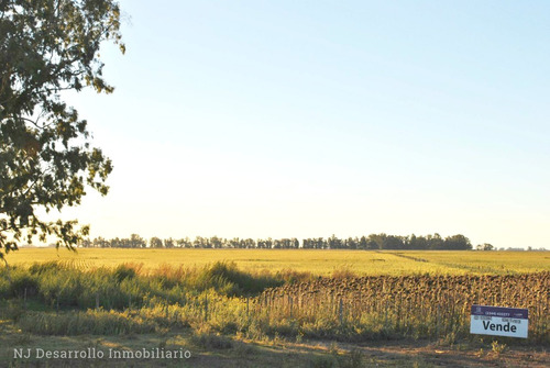 Vendo Campo De 57 Ha