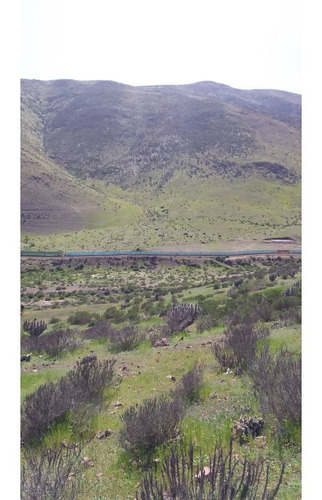 Imagen 10 de 11 de Imperdible Oportunidad De Inversión. Terreno 2 Ha