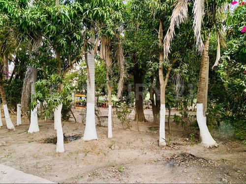 Terreno En Venta En San Miguel Zapotitlán, Ahome, Sinaloa.