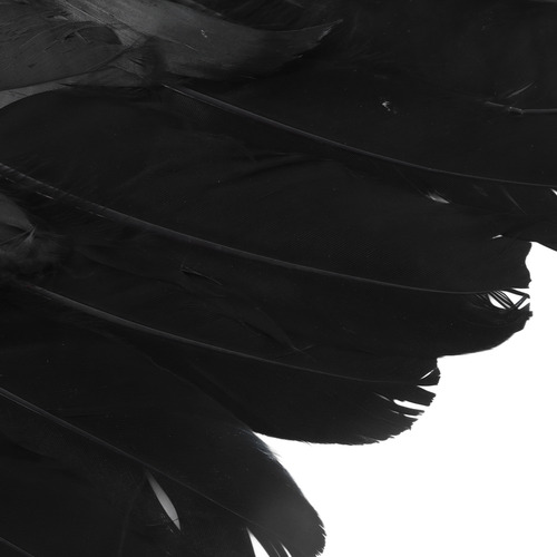 Juego De 3 Alas De Ángel Diabólico Para Halloween, Hechas A