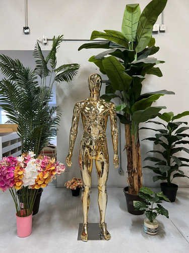 Maniquí Hombre Cuerpo Completo Oro/gold