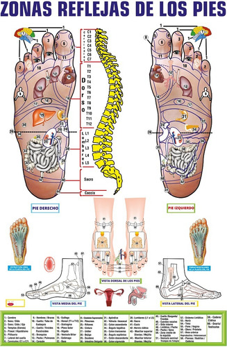 Posters Zonas Reflejas De Los Pies