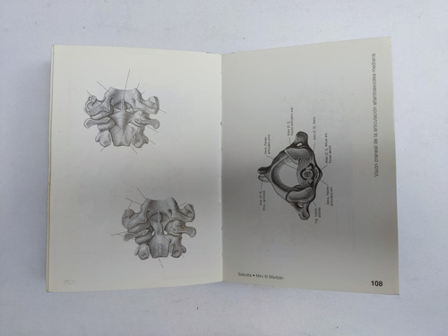 Libro Sobotta Mini 1 Sobotta 173l2 (Usado)