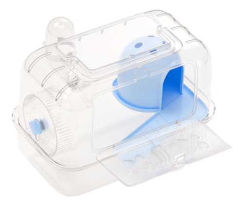 Hábitat De Jaula De Hámster, Ejercicio Azul Transparente