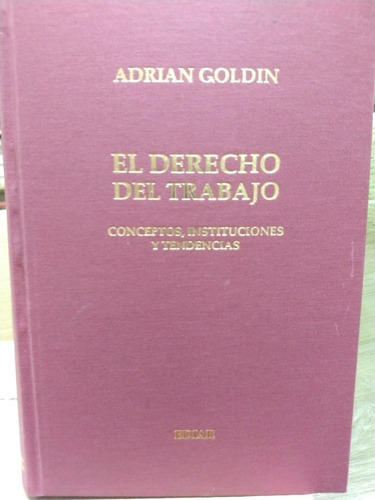 Goldin El Derecho De Trabajo Conceptos Instituciones Nuevo