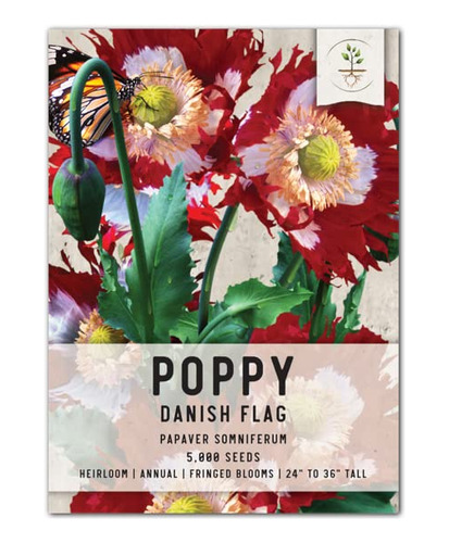 Necesidades De Semillas, Danesa Bandera De Amapola (papaver