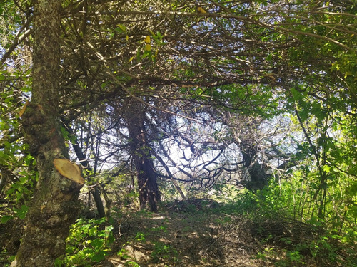 Hermosa Parcela En Venta En Gorbea