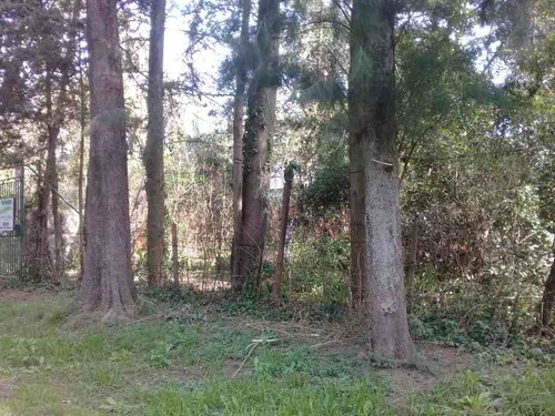 Imagen 2 de 5 de Lote En Venta- Moreno