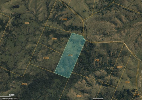 Imagen 11 de 21 de Campo 36 Hectáreas Proximo Ruta 12 Pueblo Edén.