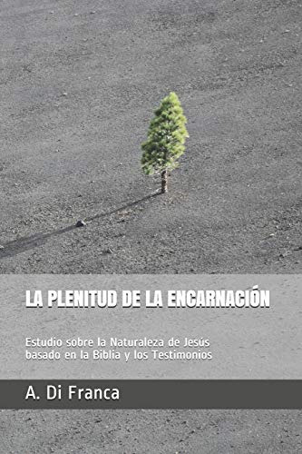 La Plenitud De La Encarnacion: Estudio Sobre La Naturaleza D