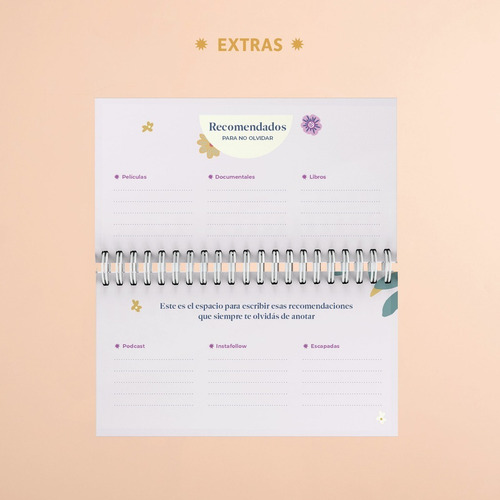 Agenda 2023 Pocket - Semanal 16x9 Cm Dura Anillada - Fera