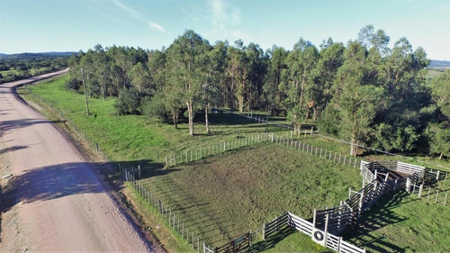 Campo - Otras