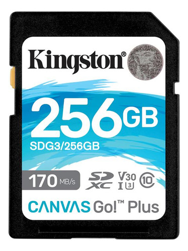 Sds2/256gb Memoria Sd Canvas Select Plus 256 Gb