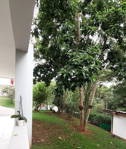 Imagem 23 de 27 de Linda Casa Em Capital Ville - Sp - Ca00049 - 68077885