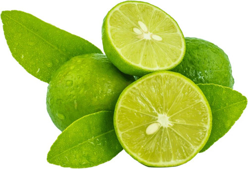Limón Sin Semillas Enano, Rápida Produccion Con Regalo