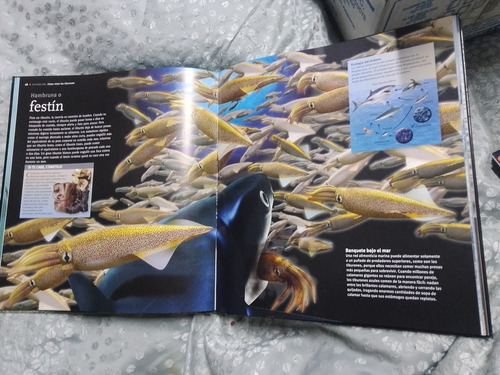 Tiburones Libro In Siders (Usado)