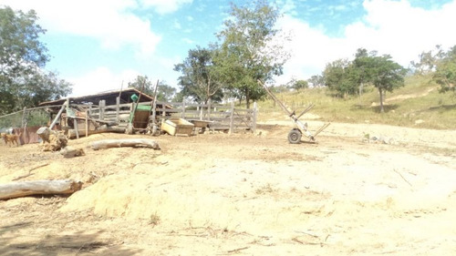 Linda Fazenda, Localizada Em Baldim Com 60,92 Hectares - 933