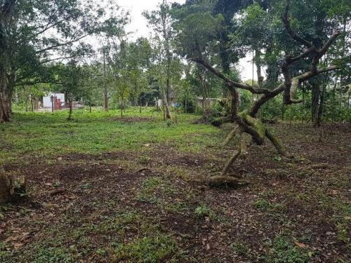 Chácara À Venda No Parque Vergara - Itanhaém 3915 | Sanm