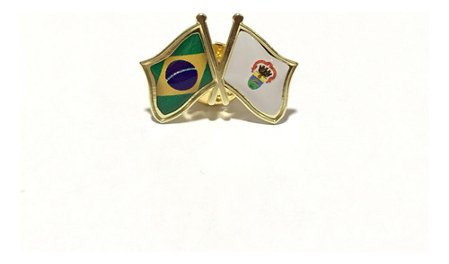 Pin Da Bandeira Do Brasil X Porto Alegre